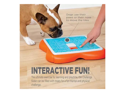 OUTWARD HOUND® JEU DE RÉFLEXION NIVEAU 3